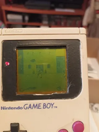 Gameboy+Nintendo ds lote