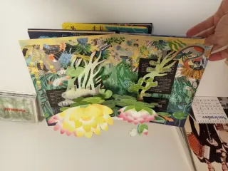 Sumendiak Pop Up liburuak libros infantiles