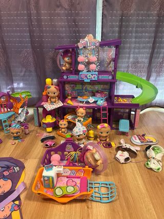 Casa Bellies + Transportín + Casa Besties