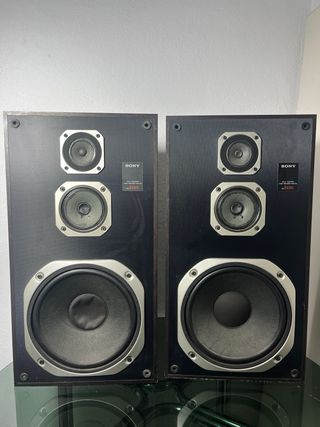 Pareja Altavoces Sony SS-E600