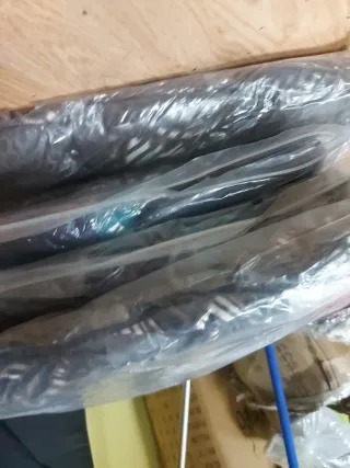 Lote de bañadores estampados