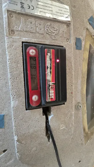 Incubadora ReptiBreeder Plástico Gris