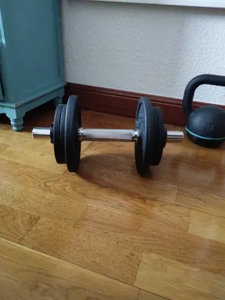 Pesas de disco 10 kg TOTAL 1 SOLO JUEGO