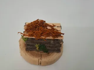 Mini presepe artigianale su base in legno