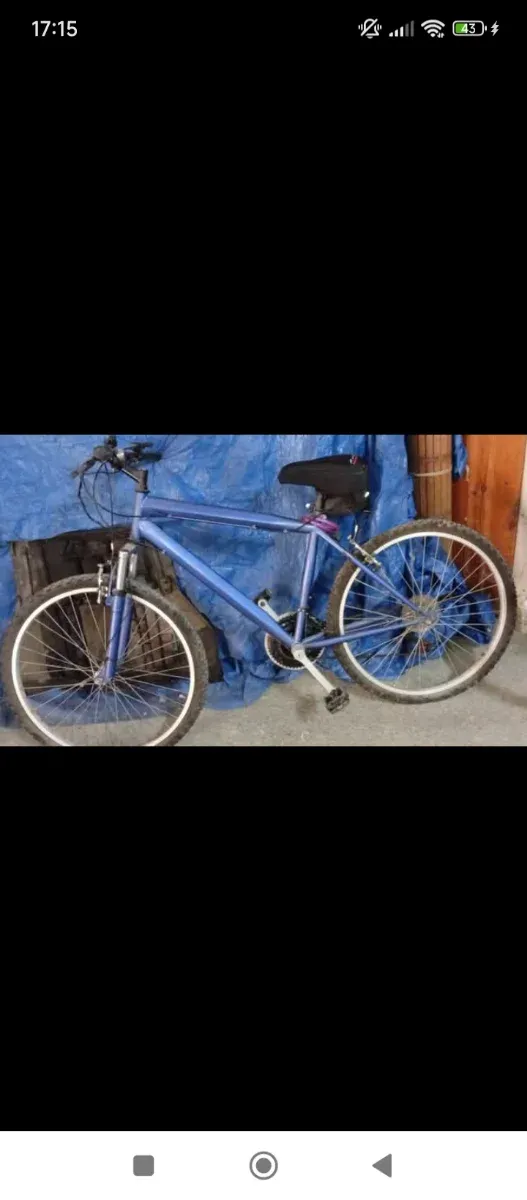 Bicicleta azul