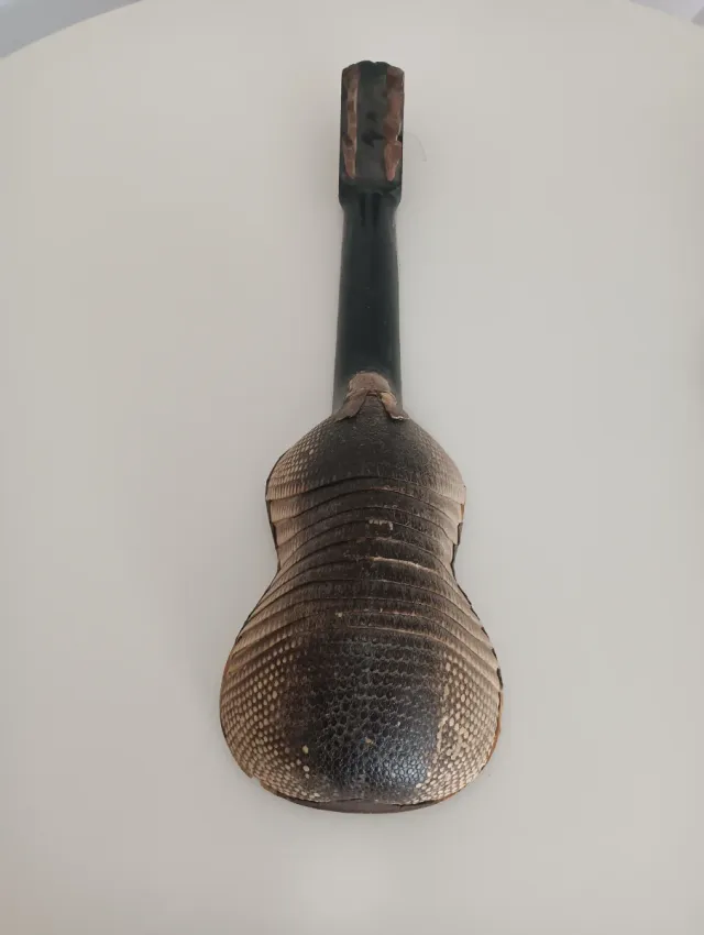 Guitarra Puercoespín del Cabo