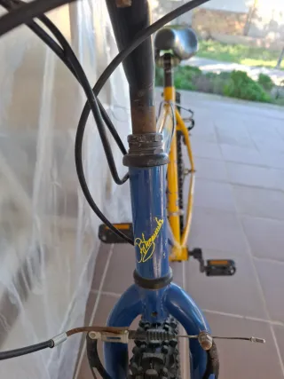 Bicicleta Montaña Vintage Bahamontes