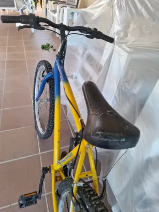 Bicicleta Montaña Vintage Bahamontes