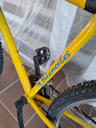 Bicicleta Montaña Vintage Bahamontes