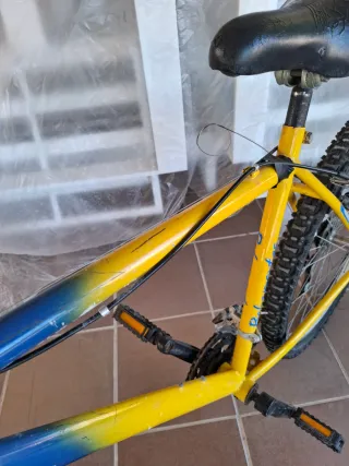 Bicicleta Montaña Vintage Bahamontes