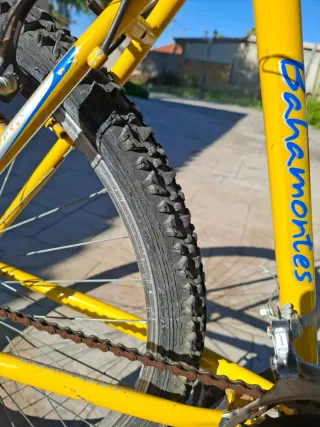 Bicicleta Montaña Vintage Bahamontes