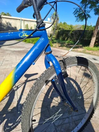 Bicicleta Montaña Vintage Bahamontes