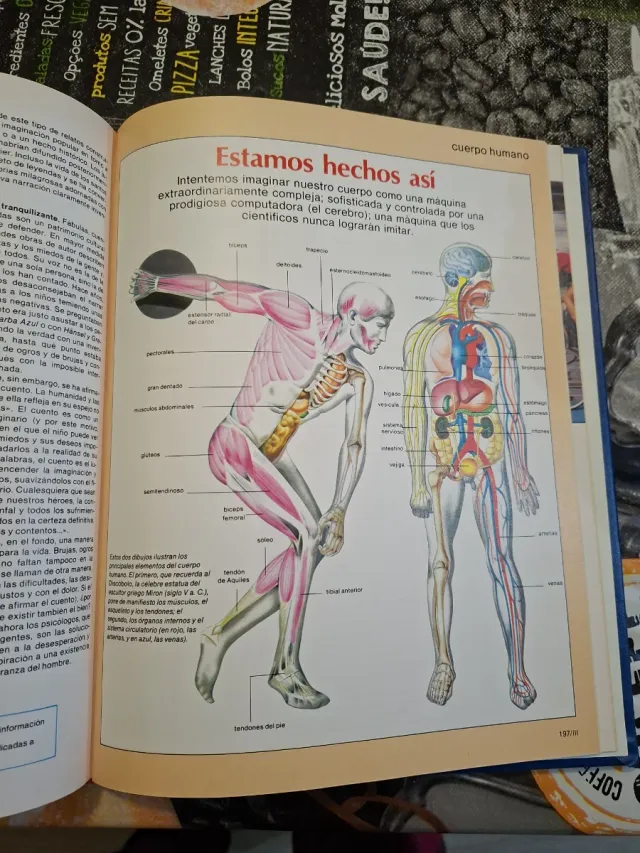 Aula enciclopedia del estudiante