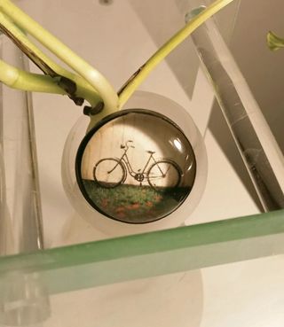 Lote Anillo Bicicleta y Gargantilla Dorada