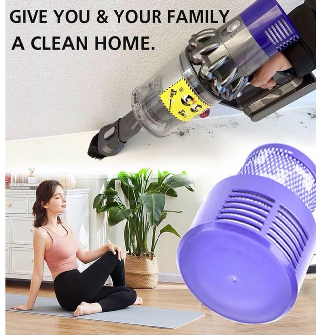 Filtri V10 per Dyson