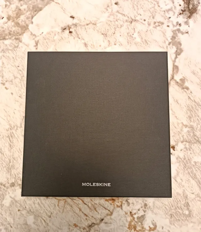 Moleskine Smart Pen + Ellipse - Ottime condizioni