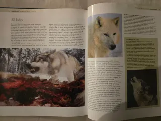 Enciclopedia de los animales. Mamíferos II
