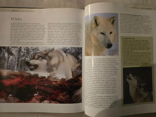 Enciclopedia de los animales. Mamíferos II