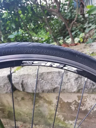 Bicicleta Giant Verde