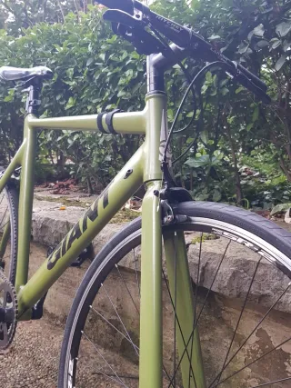 Bicicleta Giant Verde