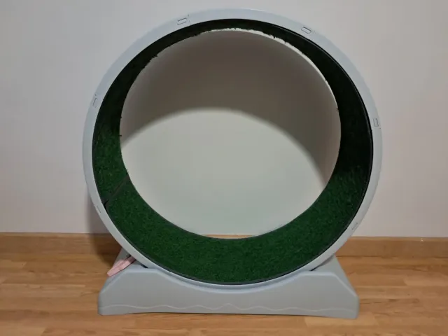 Rueda ejercicio para gatos