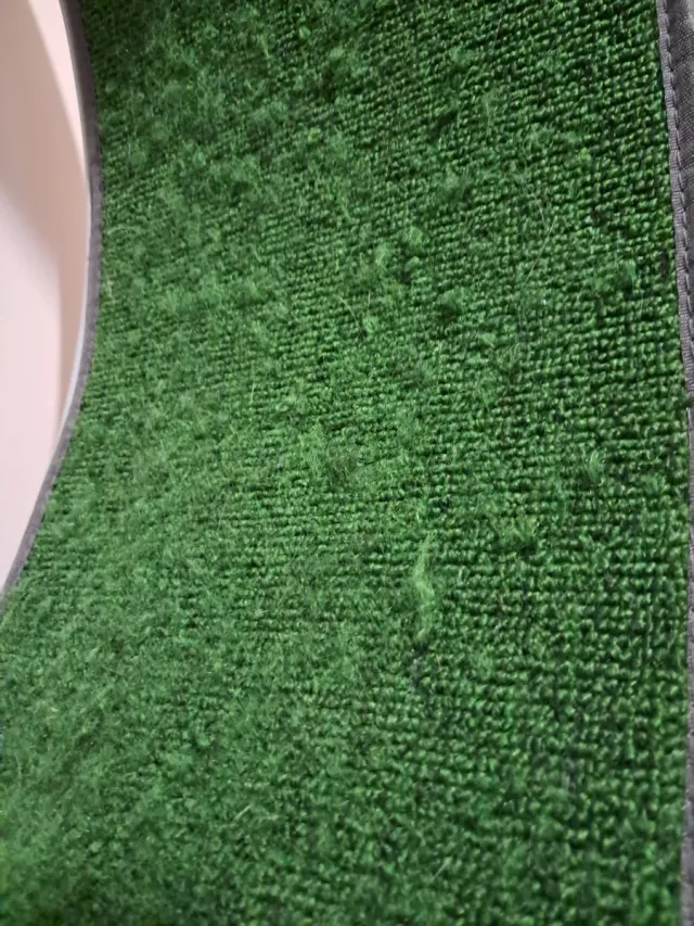 Rueda ejercicio para gatos