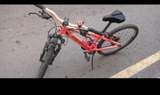 Bicicleta Monty rosa