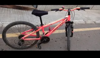 Bicicleta Monty rosa