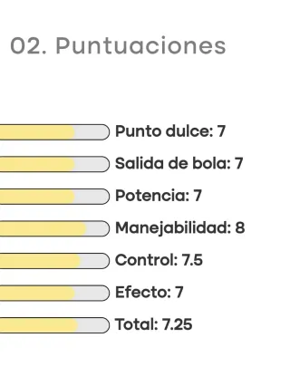 Head Graphene 360 Radical MP  295g
