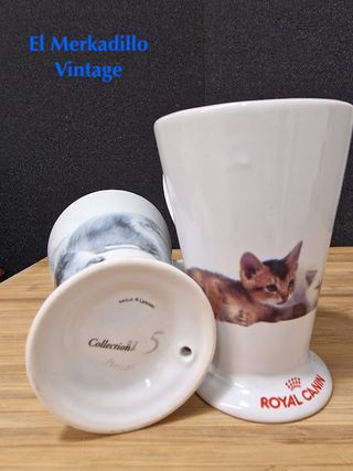 Tazas cerámica gatos