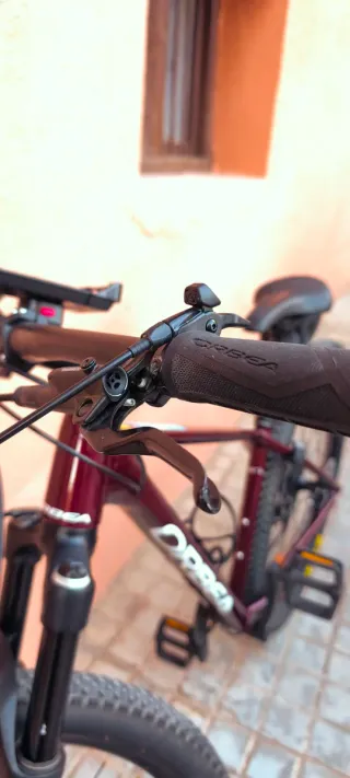 Bicicleta Orbea Alma