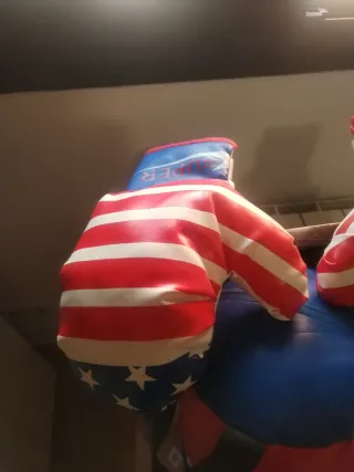 Saco de boxeo y guantes USA