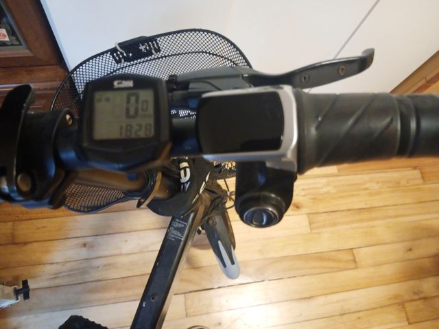 Bicicleta Eléctrica Fiido D1 Plegable