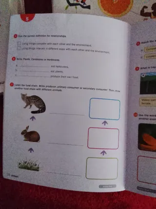 TOP NATURAL SCIENCE 4°primaria