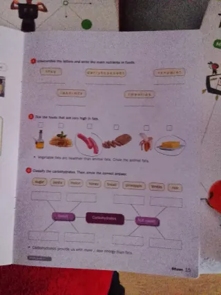 TOP NATURAL SCIENCE 4°primaria