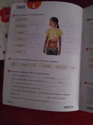 TOP NATURAL SCIENCE 4°primaria