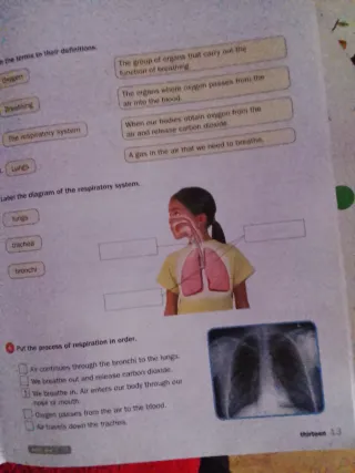 TOP NATURAL SCIENCE 4°primaria