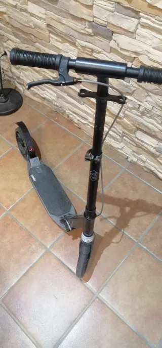 Patinete plegable gris