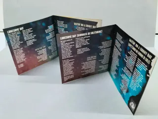 Bruce Springsteen The Rising CD 2002