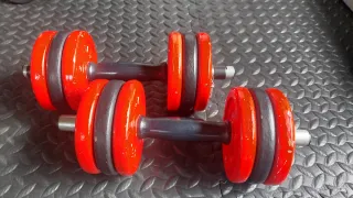 Mancuernas Salter 6 kg (par)