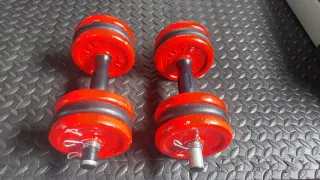 Mancuernas Salter 6 kg (par)