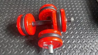 Mancuernas Salter 6 kg (par)