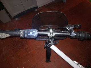 Bicicleta Eléctrica Fiido D4