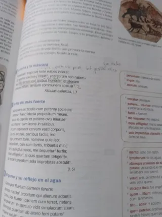 LATIN SERIE INTERPRETA BACHILLERATO SABER HACER