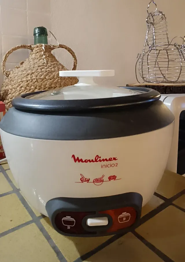 Arrocera Elétrica Moulinex Inicio 2