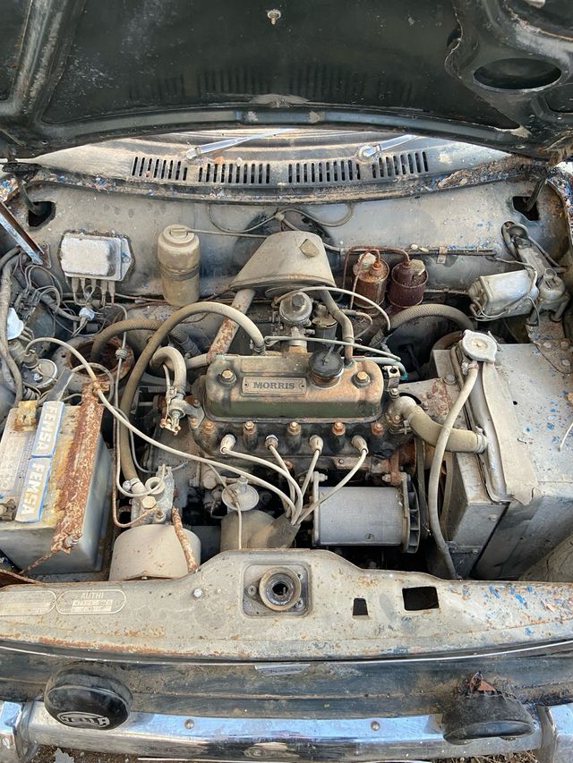 Authi morris 1100 para despiece