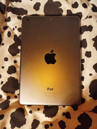 iPad mini 2 Plata
