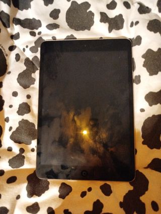 iPad mini 2 Plata