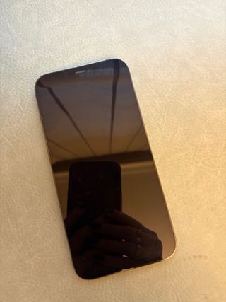 iPhone 12 Pro Max 256GB Gris Espacial