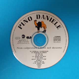 Pino Daniele - Non calpestare i fiori nel deserto